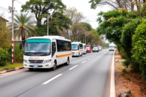 Transportes